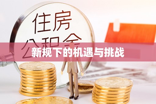 新营新规下的机遇与挑战