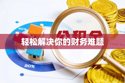 新营轻松解决你的财务难题
