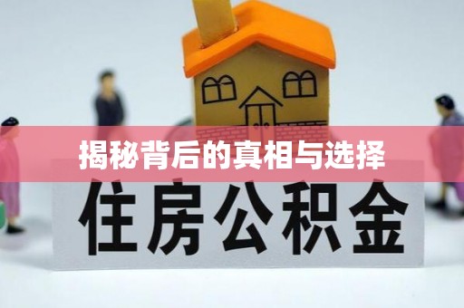 新营揭秘背后的真相与选择