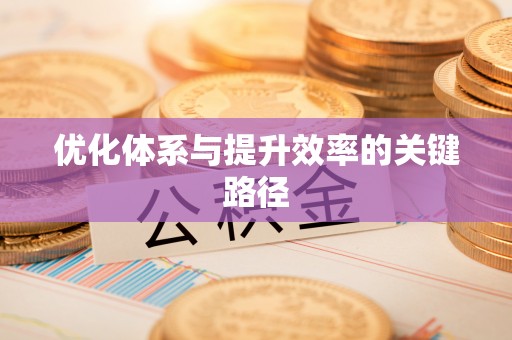 新营优化体系与提升效率的关键路径