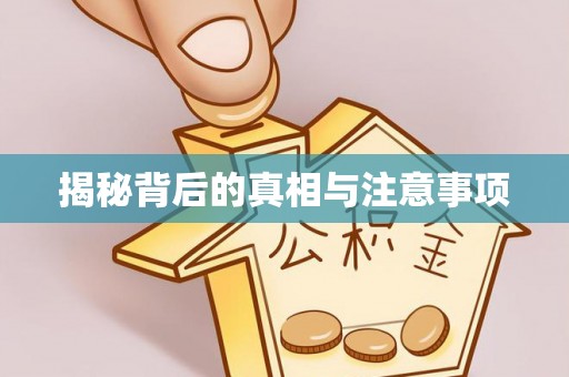 新营揭秘背后的真相与注意事项