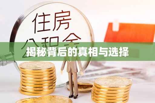 新营揭秘背后的真相与选择