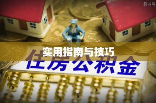 新营实用指南与技巧