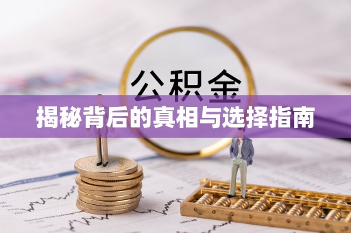 新营揭秘背后的真相与选择指南