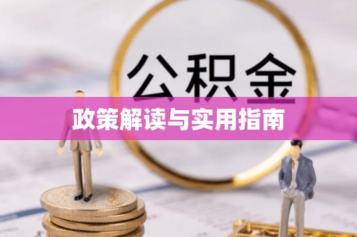 新营政策解读与实用指南
