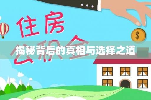 新营揭秘背后的真相与选择之道