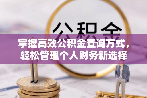 新营掌握高效公积金查询方式，轻松管理个人财务新选择