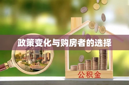 新营政策变化与购房者的选择