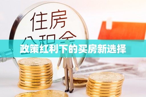 新营政策红利下的买房新选择