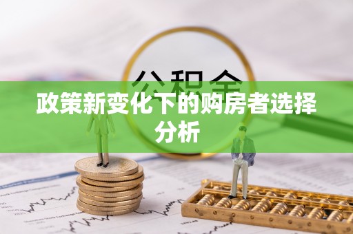新营政策新变化下的购房者选择分析