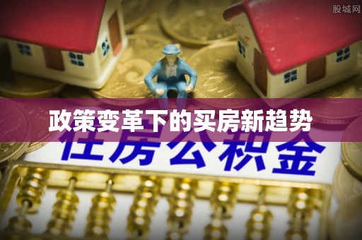 新营政策变革下的买房新趋势