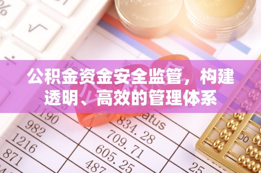 新营公积金资金安全监管，构建透明、高效的管理体系