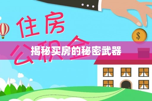 新营揭秘买房的秘密武器