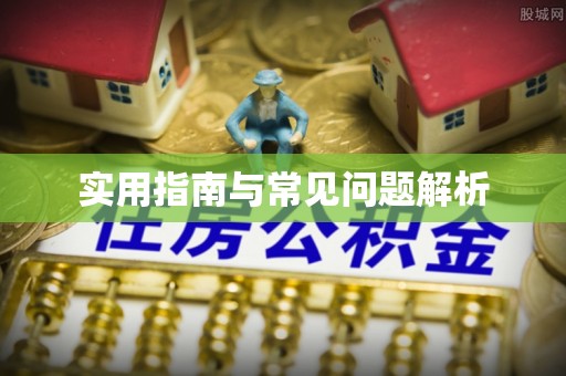 新营实用指南与常见问题解析