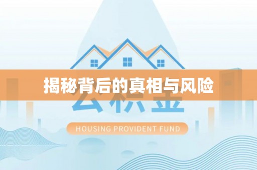 新营揭秘背后的真相与风险