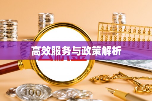 新营高效服务与政策解析