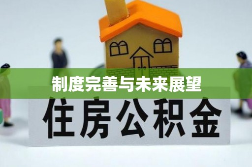 新营制度完善与未来展望
