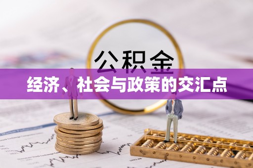 新营经济、社会与政策的交汇点