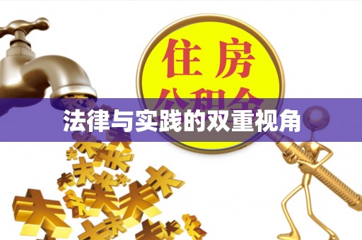 新营法律与实践的双重视角