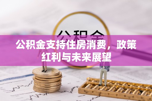 新营公积金支持住房消费，政策红利与未来展望