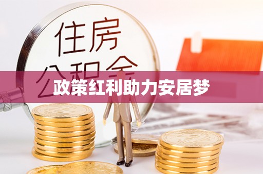 新营政策红利助力安居梦