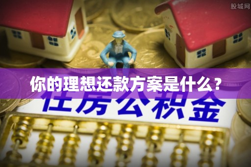 新营你的理想还款方案是什么？
