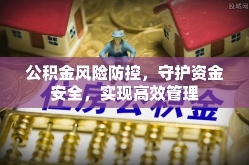 新营公积金风险防控，守护资金安全，实现高效管理
