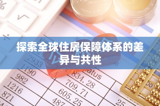 新营探索全球住房保障体系的差异与共性
