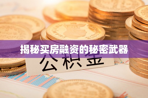 新营揭秘买房融资的秘密武器