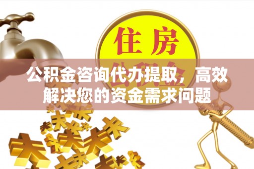 新营公积金咨询代办提取，高效解决您的资金需求问题