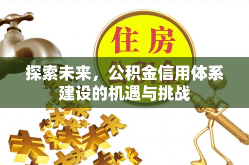 新营探索未来，公积金信用体系建设的机遇与挑战
