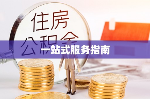 新营一站式服务指南