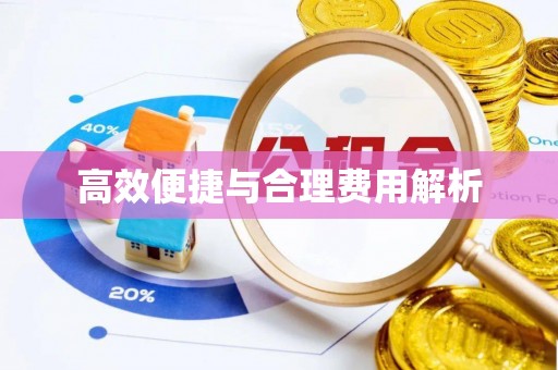 新营高效便捷与合理费用解析