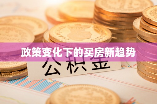 新营政策变化下的买房新趋势
