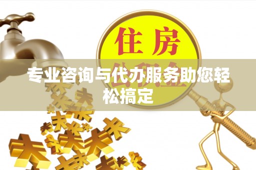 新营专业咨询与代办服务助您轻松搞定