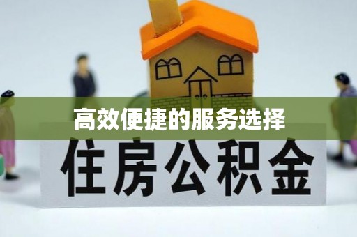 新营高效便捷的服务选择
