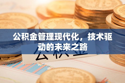 新营公积金管理现代化，技术驱动的未来之路